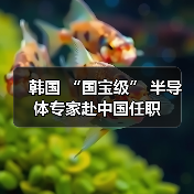 韩国 “国宝级” 半导体专家赴中国任职(图1) 韩国 “国宝级” 半导体专家赴中国任职(图1)
