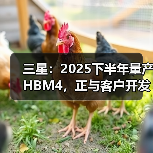 三星：2025下半年量产HBM4，正与客户开发定制版本（图1）
