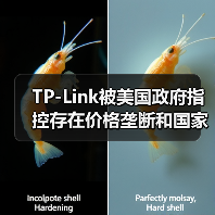 TP-Link被美国政府指控存在价格垄断和国家安全风险（图2）