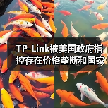 TP-Link被美国政府指控存在价格垄断和国家安全风险（图3）