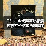 TP-Link被美国政府指控存在价格垄断和国家安全风险（图1）