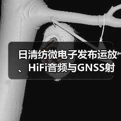 日清纺微电子发布运放、HiFi音频与GNSS射频前端新品(图4) 日清纺微电子发布运放、HiFi音频与GNSS射频前端新品(图4)