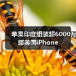 苹果印度组装超6000万部美国iPhone（图2）