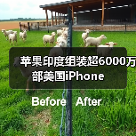 苹果印度组装超6000万部美国iPhone（图1）