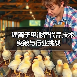 锂离子电池替代品技术突破与行业挑战（图3）