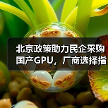 北京政策助力民企采购国产GPU,厂商选择指南(图4) 北京政策助力民企采购国产GPU,厂商选择指南(图4)