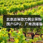 北京政策助力民企采购国产GPU,厂商选择指南(图2) 北京政策助力民企采购国产GPU,厂商选择指南(图2)