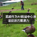 氢能作为AI数据中心清洁能源方案潜力(图3) 氢能作为AI数据中心清洁能源方案潜力(图3)