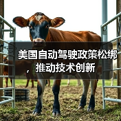 美国自动驾驶政策松绑，推动技术创新（图1）