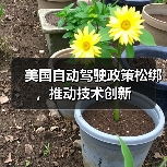 美国自动驾驶政策松绑，推动技术创新（图4）