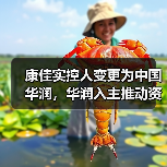 康佳实控人变更为中国华润,华润入主推动资源整合(图4) 康佳实控人变更为中国华润,华润入主推动资源整合(图4)