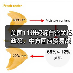 美国11州起诉白宫关税政策，中方回应贸易战立场（图2）