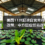 美国11州起诉白宫关税政策，中方回应贸易战立场（图3）