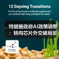特朗普政府AI政策调整:转向芯片外交破局贸易谈判(图2) 特朗普政府AI政策调整:转向芯片外交破局贸易谈判(图2)