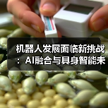 机器人发展面临新挑战：AI融合与具身智能未来（图4）