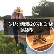 英特尔裁员20%推动战略转型（图1）