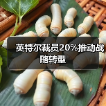 英特尔裁员20%推动战略转型（图4）