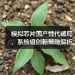 模拟芯片国产替代破局，系统级创新策略解析（图1）