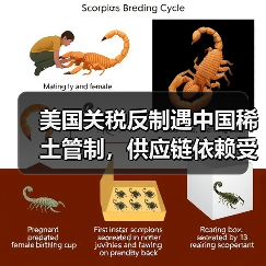 美国关税反制遇中国稀土管制，供应链依赖受困（图3）