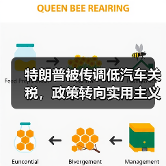 特朗普被传调低汽车关税,政策转向实用主义(图3) 特朗普被传调低汽车关税,政策转向实用主义(图3)