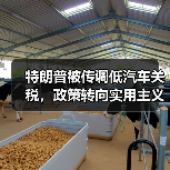特朗普被传调低汽车关税,政策转向实用主义(图2) 特朗普被传调低汽车关税,政策转向实用主义(图2)