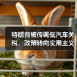 特朗普被传调低汽车关税,政策转向实用主义(图4) 特朗普被传调低汽车关税,政策转向实用主义(图4)