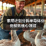 索尼计划分拆半导体业务聚焦核心领域（图1）
