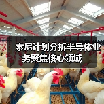 索尼计划分拆半导体业务聚焦核心领域（图4）