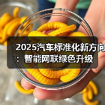 2025汽车标准化新方向:智能网联绿色升级(图2) 2025汽车标准化新方向:智能网联绿色升级(图2)