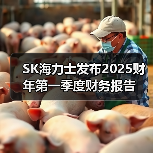 SK海力士发布2025财年第一季度财务报告（图3）