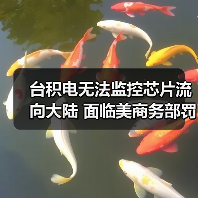 台积电无法监控芯片流向大陆 面临美商务部罚款（图3）