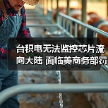 台积电无法监控芯片流向大陆 面临美商务部罚款（图2）