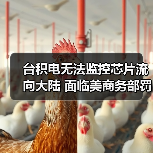 台积电无法监控芯片流向大陆 面临美商务部罚款（图1）