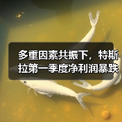 多重因素共振下,特斯拉第一季度净利润暴跌71%!(图4) 多重因素共振下,特斯拉第一季度净利润暴跌71%!(图4)