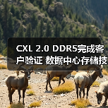 CXL 2.0 DDR5完成客户验证 数据中心存储技术突破(图1) CXL 2.0 DDR5完成客户验证 数据中心存储技术突破(图1)