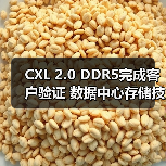 CXL 2.0 DDR5完成客户验证 数据中心存储技术突破(图2) CXL 2.0 DDR5完成客户验证 数据中心存储技术突破(图2)