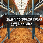 意法半导体完成收购AI公司Deeplite(图4) 意法半导体完成收购AI公司Deeplite(图4)