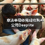 意法半导体完成收购AI公司Deeplite(图2) 意法半导体完成收购AI公司Deeplite(图2)