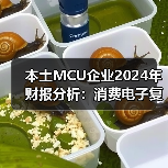 本土MCU企业2024年财报分析:消费电子复苏,车规尚在烧钱(图4) 本土MCU企业2024年财报分析:消费电子复苏,车规尚在烧钱(图4)