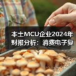 本土MCU企业2024年财报分析:消费电子复苏,车规尚在烧钱(图2) 本土MCU企业2024年财报分析:消费电子复苏,车规尚在烧钱(图2)