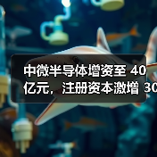 中微半导体增资至 40 亿元,注册资本激增 300%(图3) 中微半导体增资至 40 亿元,注册资本激增 300%(图3)