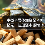 中微半导体增资至 40 亿元,注册资本激增 300%(图4) 中微半导体增资至 40 亿元,注册资本激增 300%(图4)