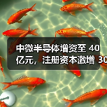 中微半导体增资至 40 亿元,注册资本激增 300%(图2) 中微半导体增资至 40 亿元,注册资本激增 300%(图2)
