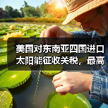 美国对东南亚四国进口太阳能征收关税,最高达 3521%(图4) 美国对东南亚四国进口太阳能征收关税,最高达 3521%(图4)