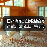日产汽车加速收缩在华产能，武汉工厂将于明年3月停产（图2）