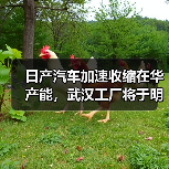 日产汽车加速收缩在华产能，武汉工厂将于明年3月停产（图1）