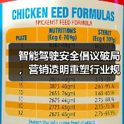 智能驾驶安全倡议破局，营销透明重塑行业规则（图2）