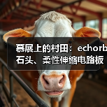 慕展上的村田:echorb石头、柔性伸缩电路板、透明ID标签……(图4) 慕展上的村田:echorb石头、柔性伸缩电路板、透明ID标签……(图4)