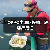 OPPO中国区换帅,段要辉接任(图2) OPPO中国区换帅,段要辉接任(图2)