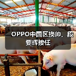 OPPO中国区换帅,段要辉接任(图4) OPPO中国区换帅,段要辉接任(图4)